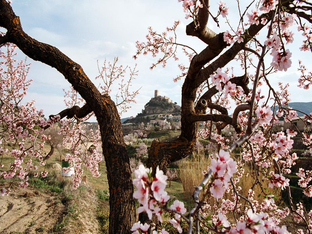 Villa Casa Rural Sant Antoni à Biar Extérieur photo